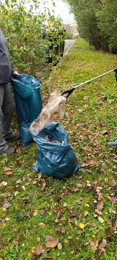 Bild vergr&ouml;&szlig;ern: Tag der sauberen Umwelt