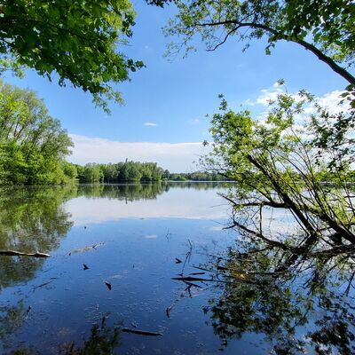 Bild vergr&ouml;&szlig;ern: Hegbachsee