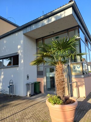 Bild vergr&ouml;&szlig;ern: Rathaus im Sommer