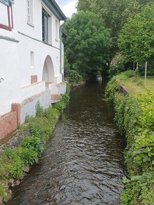 Bild vergr&ouml;&szlig;ern: Schwarzbach in Nauheim.