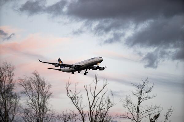 Bild vergrößern: Lufthansa-Flugzeug fliegt vor dämmerndem Himmel über kahle Baumwipfel
