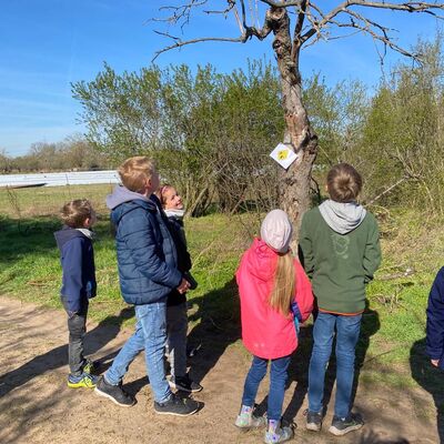 Bild vergr&ouml;&szlig;ern: Fotos "Pok&eacute;mon Go mal anders"